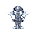 2011 Mercury Grand Marquis - Thermostat, 8 Cyl 4.6L, Temperature 195F; Oe Specified Temperature