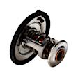 621-180 Thermostat