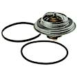 661-176 Thermostat