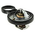 718-195 Thermostat