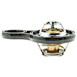 718-195 Thermostat