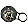 718-195 Thermostat