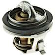 7207-160 Fail-Safe Thermostat Series Thermostat