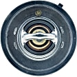 7420-195 Fail-Safe Thermostat Series Thermostat