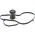 973-221 Thermostat