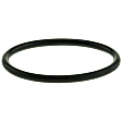 2009 Ford F-150 - Direct Fit Coolant Thermostat Seal, Sold Individually