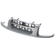 Grille Assembly, Gray Shell and Insert, SE Model, 6 Cyl., 3.3L Engine