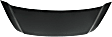 Hood, Steel, Primed, 8 Cyl., 5.6L Engine