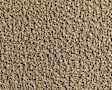 F8-LATE-205851 Carpet Kit, Biscuit, Nylon Cut pile