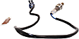 234-4066 After Catalytic Converter Oxygen Sensor, Sold Individually, 4-wire