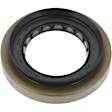 NS710248 Differential Pinion Seal