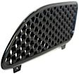 Driver Side Grille, Black, SE Model