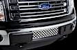 82182 Billet Grille - Polished, Stainless Steel, Punch Style, Bumper Insert, Direct Fit, Sold Individually