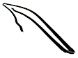 WFS F2007 Windshield Molding