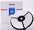 PA4613 Performance Dry Air Filter