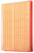 PA4868 OE Replacement Dry Air Filter
