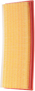 PA5467 OE Replacement Dry Air Filter