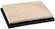 PA5528 OE Replacement Dry Air Filter