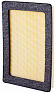 PA5528 OE Replacement Dry Air Filter