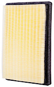 PA5528 OE Replacement Dry Air Filter