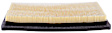 PA5528 OE Replacement Dry Air Filter