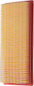 PA5567 OE Replacement Dry Air Filter