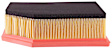 PA5883 OE Replacement Dry Air Filter