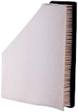 PA5897 Performance Dry Air Filter