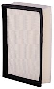PA6319 Performance Dry Air Filter