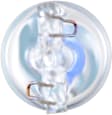 12961LLB2 LongerLife Miniature 12961LL Light Bulb - Twice the life of Standard Bulbs - Halogen, Direct Fit, Set of 2
