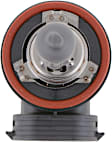H11B1 Driver or Passenger Side Standard Series Halogen H11 Headlight Bulb, 55 Watts, Standard Series