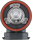 H9B1 Driver or Passenger Side Standard Series H9 Headlight Bulb, Sold Individually