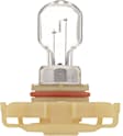 2010 Chevrolet Camaro - PS19W Fog Light Bulb, With Halogen Capsule Headlamps, Sold Individually
