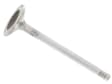 1397641 OE Replacement Series Intake Valve - Sold individually
