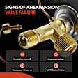 APAEV118 AC Expansion Valve