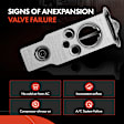 APAEV175 Rear AC Expansion Valve