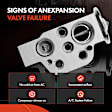 APAEV262 Front AC Expansion Valve