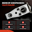 APAEV280 AC Expansion Valve