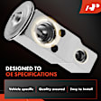 APAEV295 Rear AC Expansion Valve