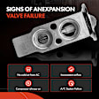 APAEV295 Rear AC Expansion Valve
