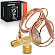 APAEV306 AC Expansion Valve