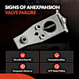 APAEV382 Rear AC Expansion Valve
