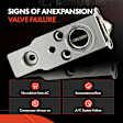 APAEV430 Aluminum AC Expansion Valve