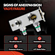 APAEV441 Aluminum AC Expansion Valve