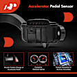 APAPA010 Accelerator Pedal Position Sensor