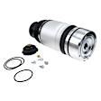 APAS099PPW Rear Air Suspension Spring Bags