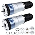 APAS283PG 2 Pcs Air Suspension Spring Bags