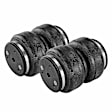 APASK01PPW Rear Air Suspension Spring Bag Kit