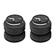 APASK03PPW Rear Air Suspension Spring Bag Kit