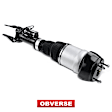 APAST057 Front Driver Air Suspension Strut